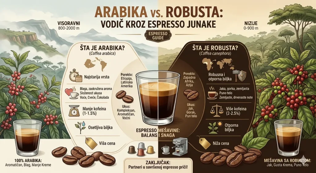 Infografik Arabika vs Robusta kafa: poređenje ukusa, porekla, kofeina i kreme za espresso – Espresso Guide