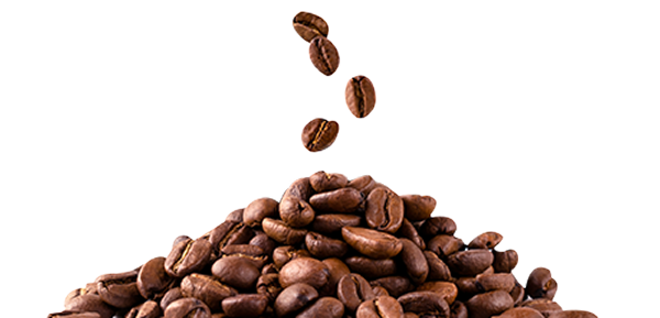 Pečena zrna espresso kafe u padu na gomilu aromatičnih zrna – Espresso Guide